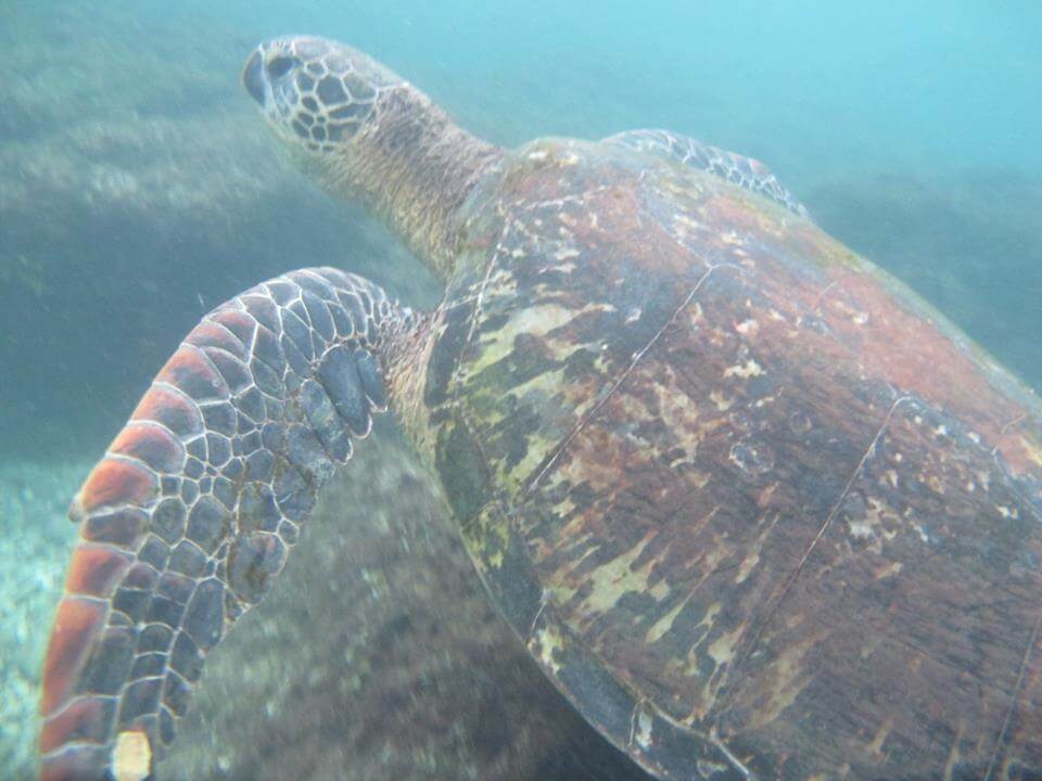 小琉球浮潛